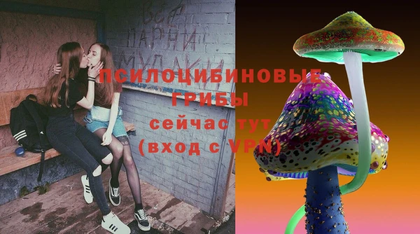 соль ск Балабаново