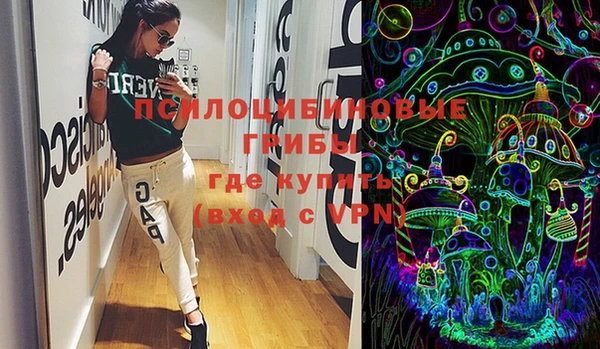 ГАЛЛЮЦИНОГЕННЫЕ ГРИБЫ Балахна