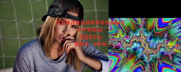 ГАЛЛЮЦИНОГЕННЫЕ ГРИБЫ Балахна
